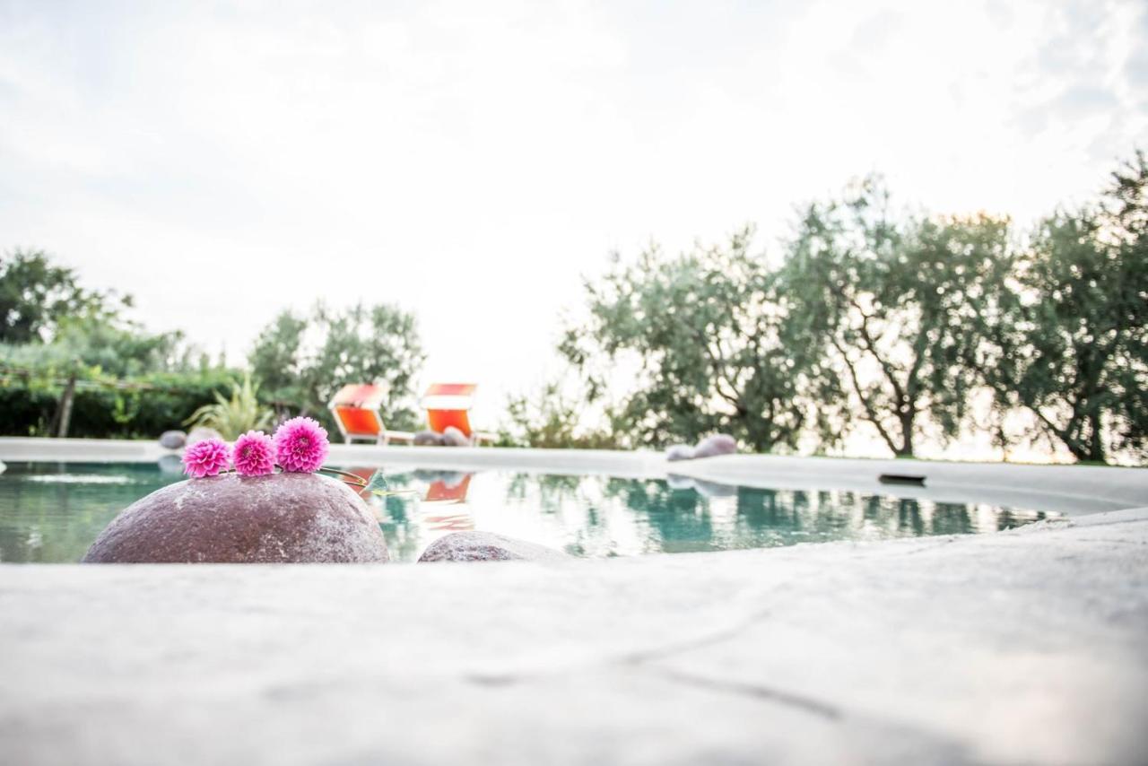 Agriturismo Il Grappolo Lazise Ngoại thất bức ảnh